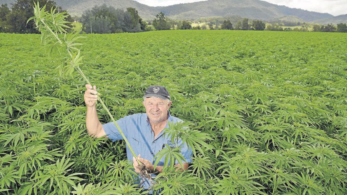 Hemp CBD for Sleep